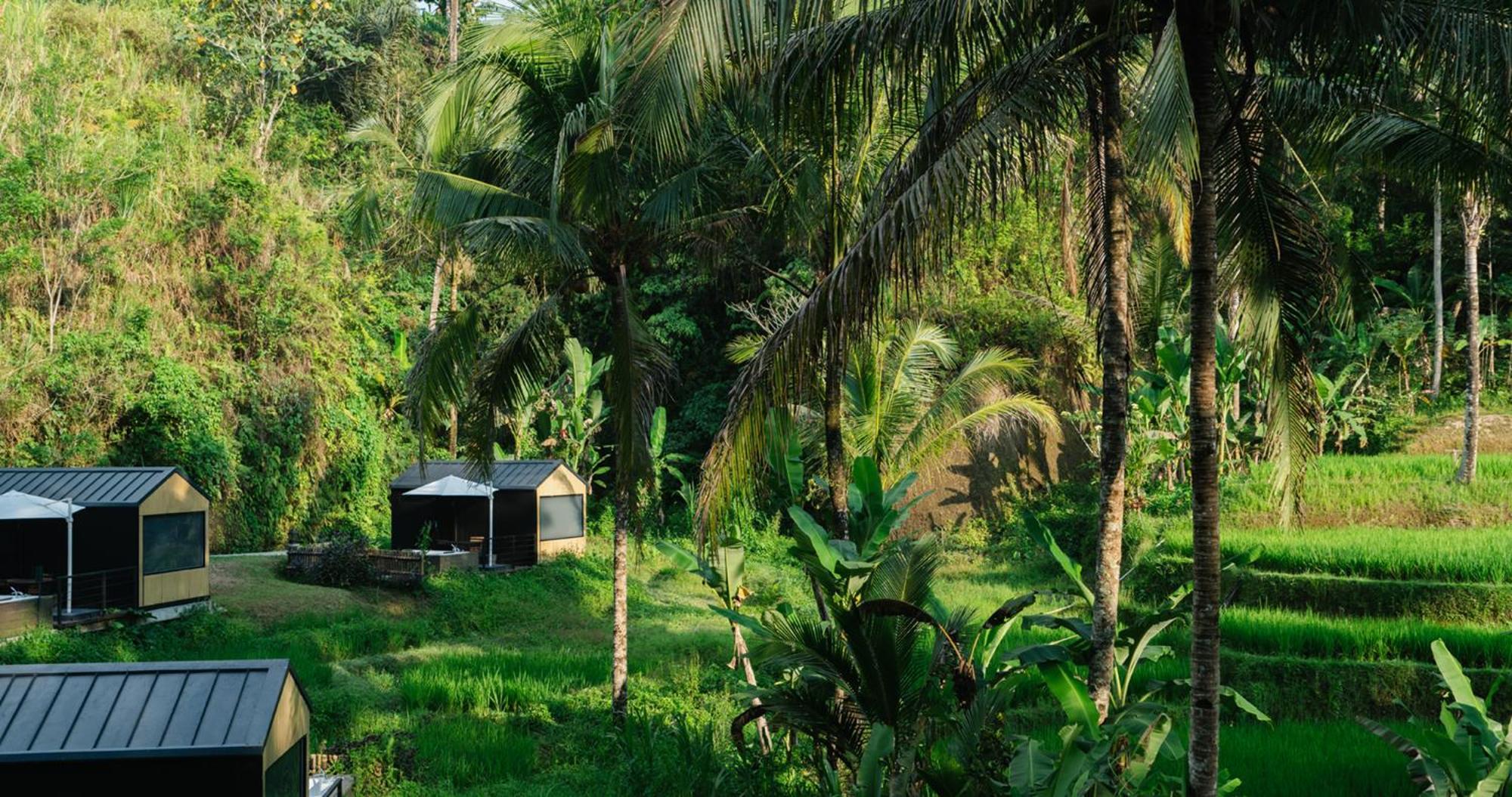 Bobocabin Ubud, Bali Esterno foto